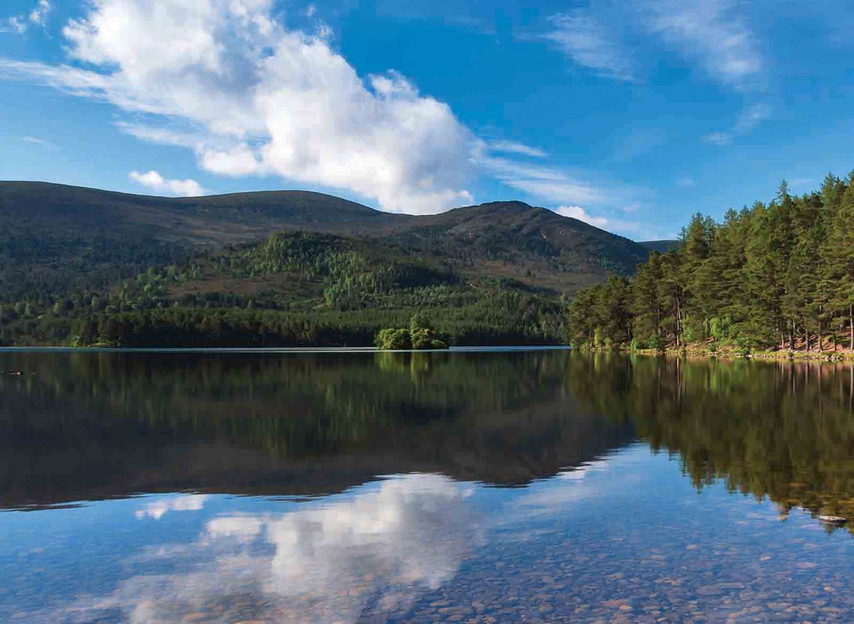 Rothiemurchus