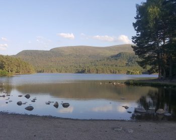 Summer at Loch an Eilein, Rothiemurchus