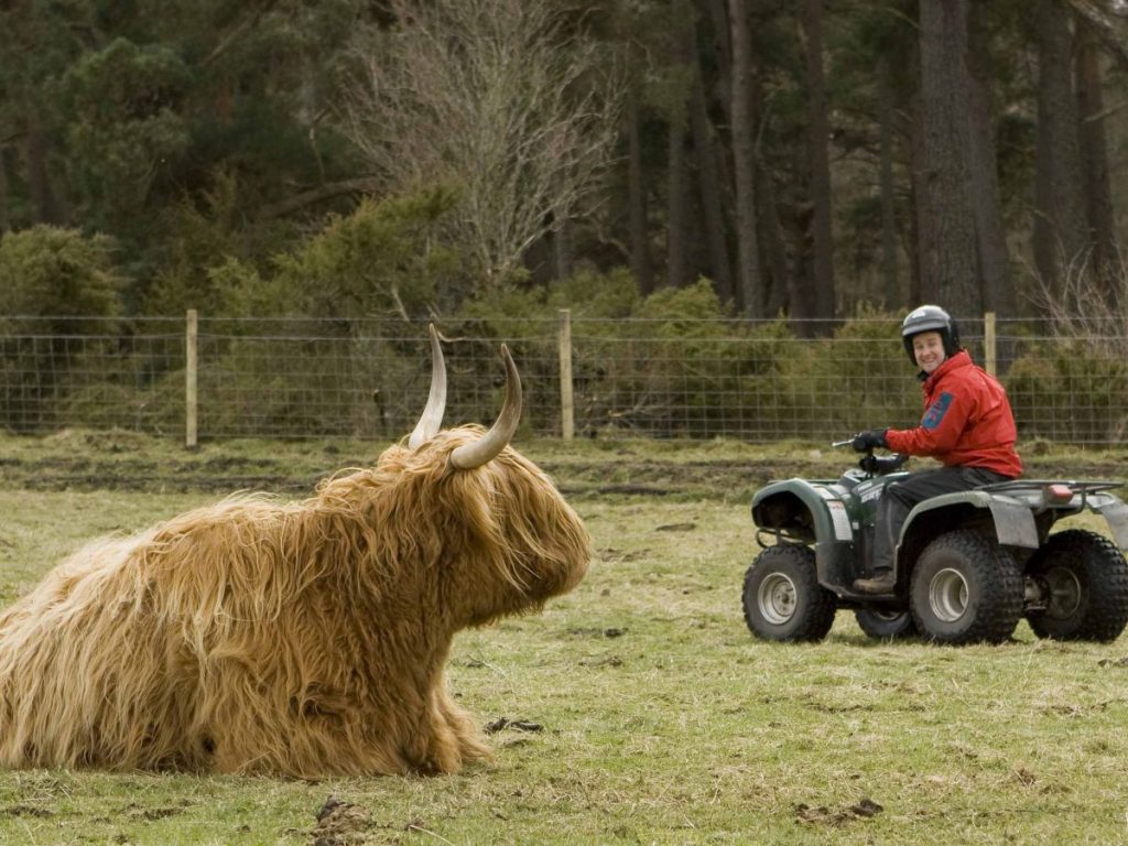 Quad Bike Trek at Rothiemurchus near Aviemore