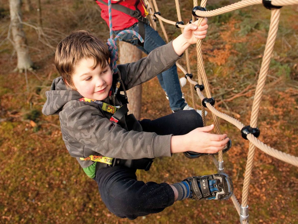 Treezone Aerial Adventure at Rothiemurchus near Aviemore