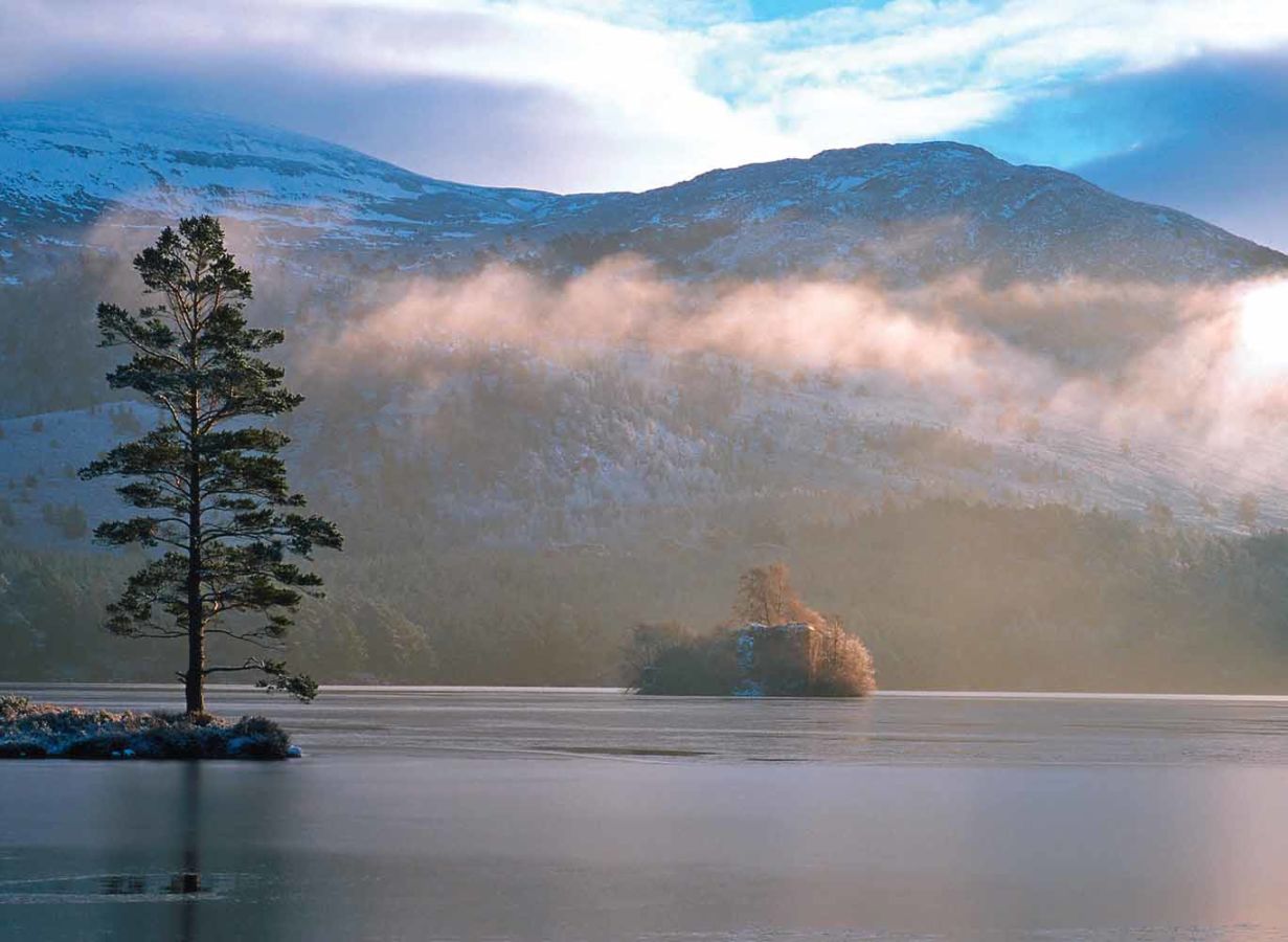 Rothiemurchus