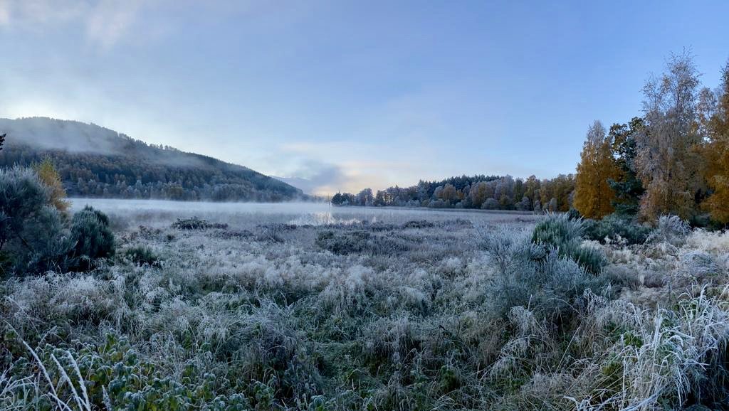 Loch Pityoulish, frosty, morning