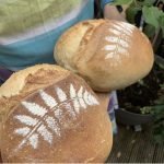 Bothy Bakery at Rothiemurchus Farm Shop near Aviemore