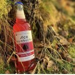 Ace Kombucha 