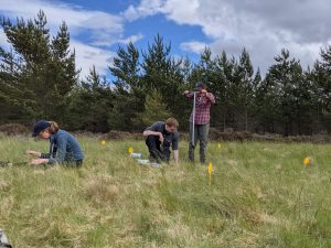 Using the soil auger