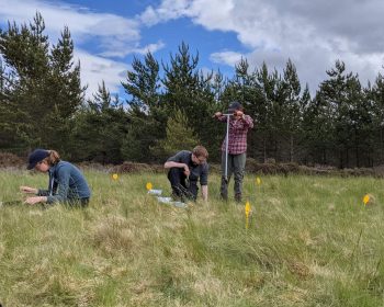 Using the soil auger