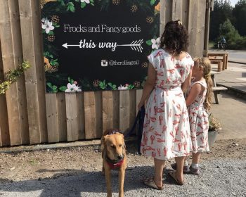 The Rolling Rail at Rothiemurchus