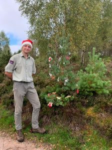 Rothiemurchus Perfectly Imperfect Scots Pine Christmas Trees for sale