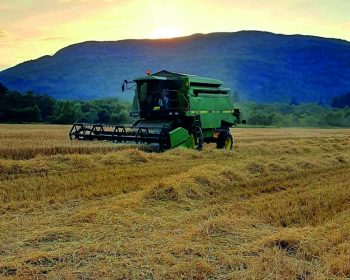 Harvest on Rothiemurchus