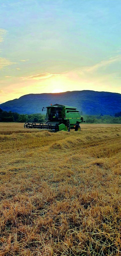 Harvest on Rothiemurchus