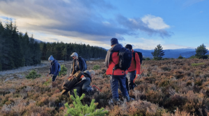 Cairngorms Capercaillie Project