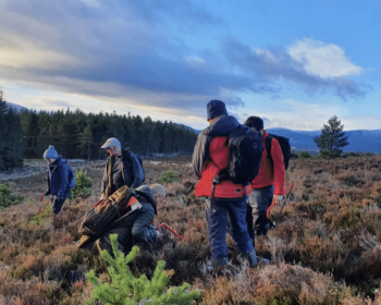 Cairngorms Capercaillie Project