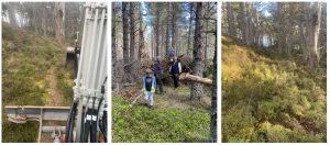 Capercaillie Project