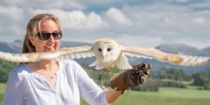 Rothiemurchus Falconry near Aviemore