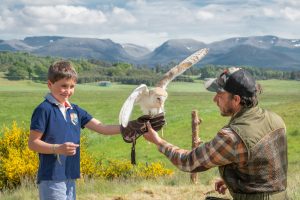 Rothiemurchus Falconry near Aviemore