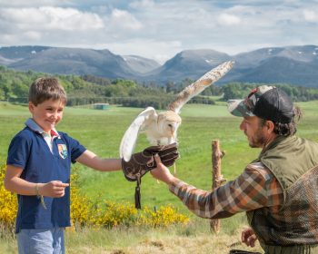 Rothiemurchus Falconry Aviemore