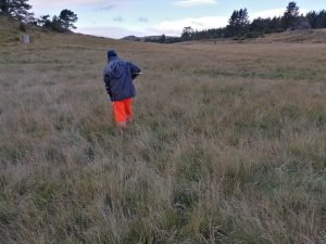 Soil Biodiversity Surveys