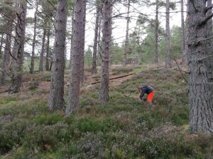 Soil biodiversity studies