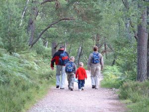 Rothiemurchus upgrades to path network