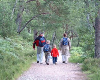 Rothiemurchus upgrades to path network