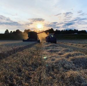 Harvest at Rothiemurchus Farm