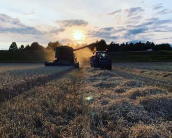 Harvest at Rothiemurchus Farm