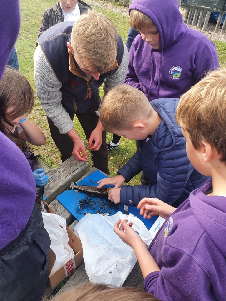 Rothiemurchus Rangers at Aviemore Primary School