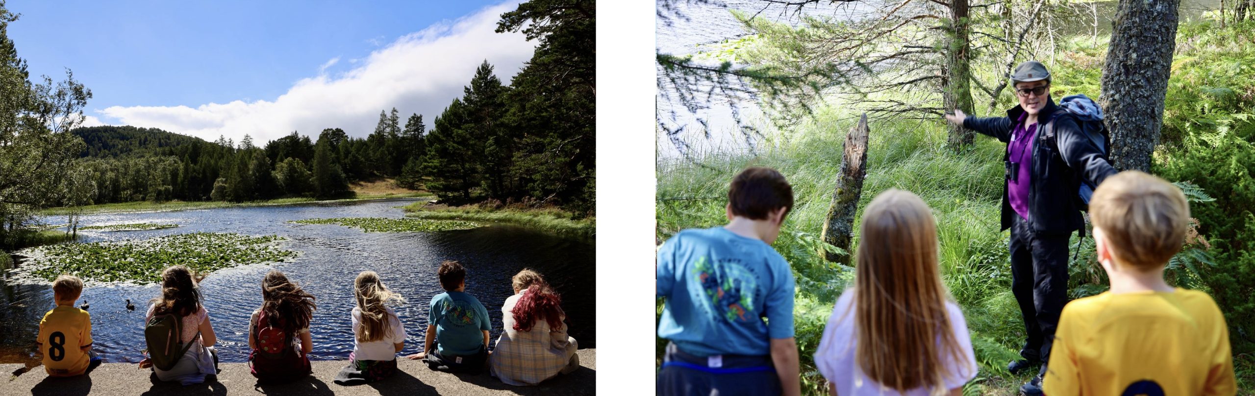 Beaver Walk Lochan Mor