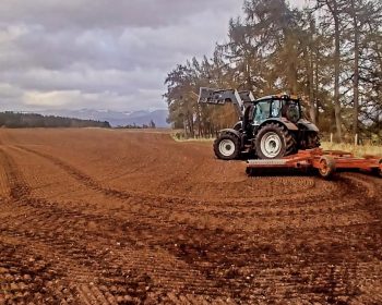 Rothiemurchus Farm, Rothiemurchus near Aviemore