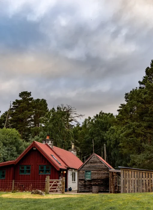 Forest Cottage Rothiemurchus
