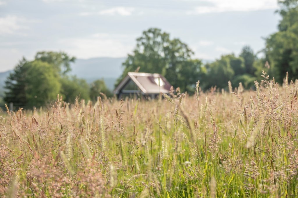 Rothie Cabins Rothiemurchus near Aviemore