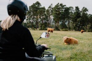 Rothiemurchus Quad Bike Treks near Aviemore