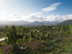 Tullochgrue, Rothiemurchus