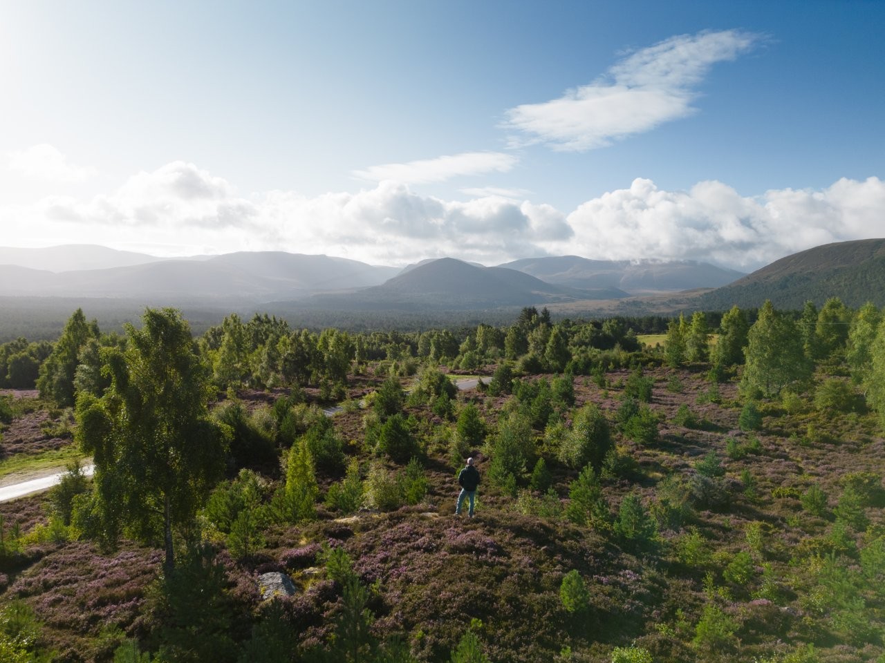 Rothiemurchus